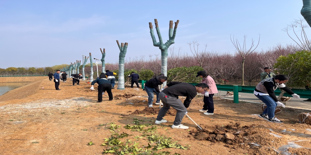 黨建引領(lǐng)共植綠 凝心聚力譜新篇 ——和合生態(tài)、德嘉置業(yè)黨支部赴小廟基地義務(wù)植樹